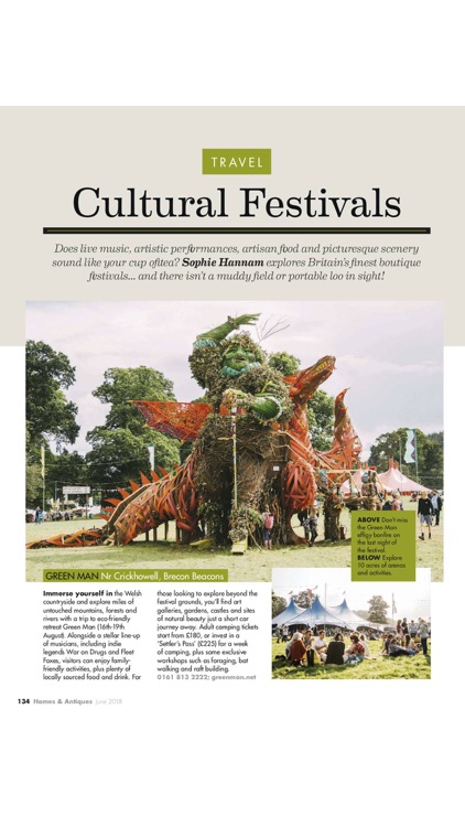 Homes & Antiques Magazine screenshot-4