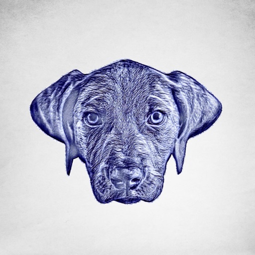 Puppy Portraits icon