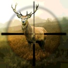 Top 19 Sports Apps Like Hunting Simulator - Best Alternatives