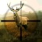 Hunting Simulator is a technical and realistic visual ballistic app for hunters, it is not a game