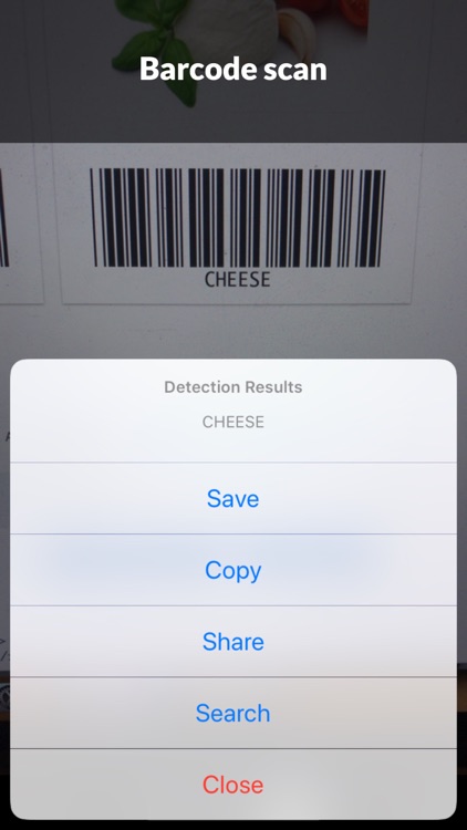 aiScan - Scan Anything With AI screenshot-3