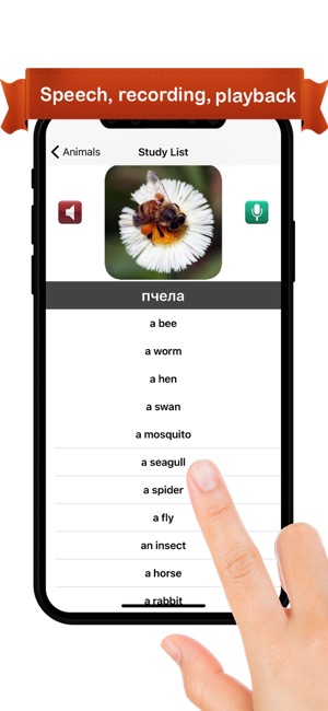 Learn Bulgarian™(圖2)-速報App