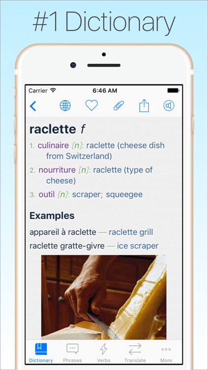 French Dictionary & Tran +