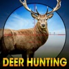 Deer Hunting Wild Animal Shoot