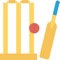 This is an amazing trivia app for all cricket lovers