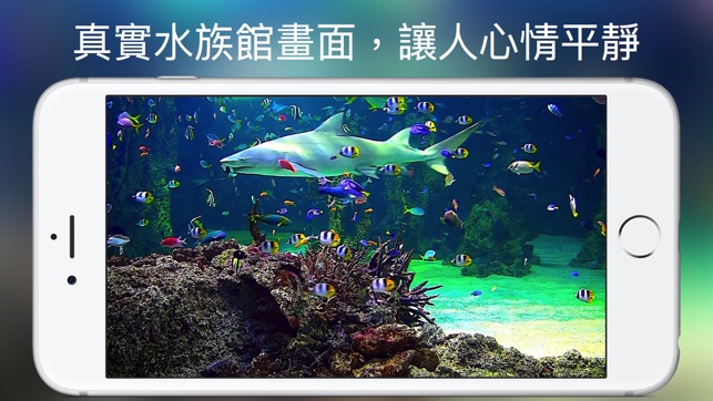 水族館 HD(圖3)-速報App