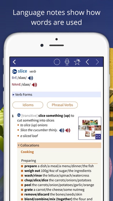 Oxford Advanced Learner’s Dictionary, 8th edition Screenshot 4