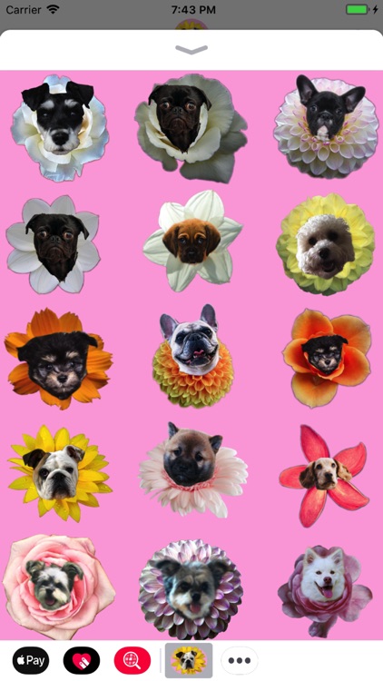 Puppy Bouquet screenshot-3