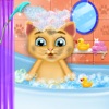 Icon Cute Kitten Daycare & Beauty Salon