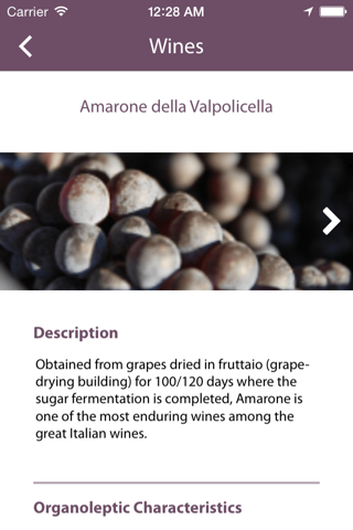 Valpolicella Wines screenshot 4