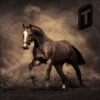 Arabian Horse Adventure-Run for Escape