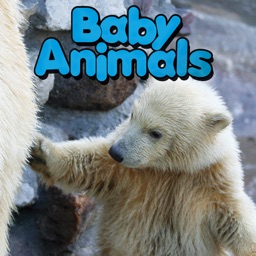 Baby Animals - CLIL Reader