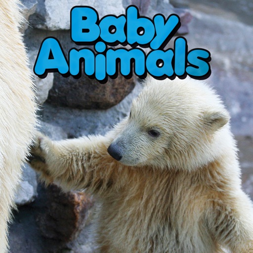 Baby Animals - CLIL Reader icon