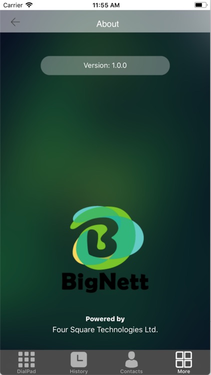 BigNett screenshot-3