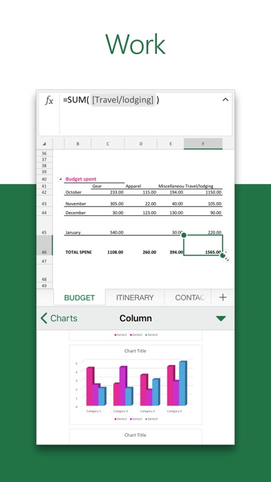 microsoft excel cracked