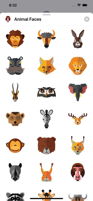 Animal Faces