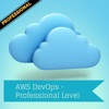 Professional - AWS DevOps Cert