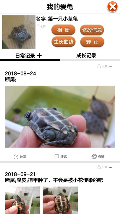 萌龟日记-乌龟成长记录 screenshot-3