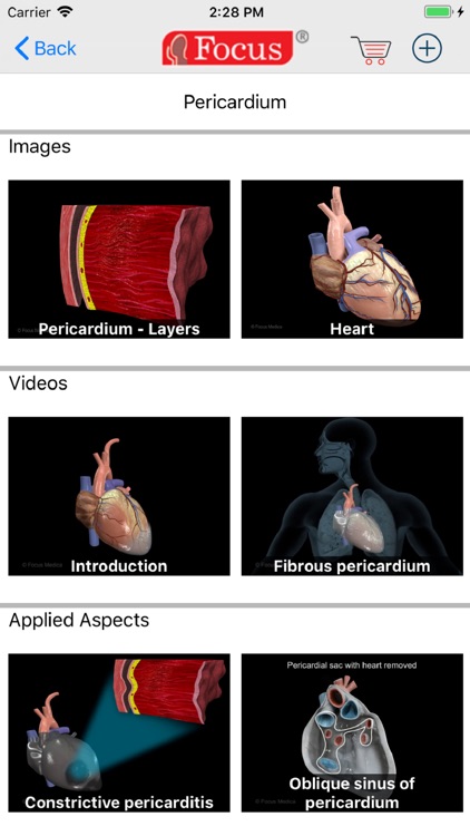 HEART -  Digital Anatomy