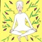 This application is specially designed for teachers of Kundalini Yoga, letting you organize your class in advance, using time, music and all the explanation that each sequence of the class will contain