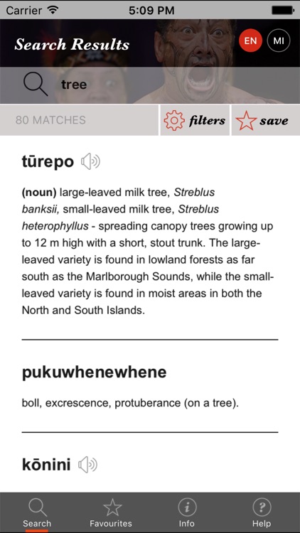 Te Reo Māori