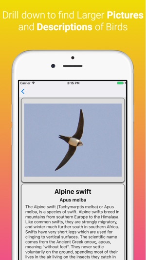 UK Birds Dictionary Pro(圖2)-速報App