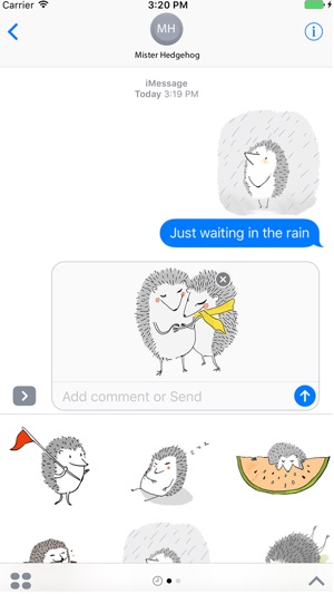 Mr. Hedgehog Animated Stickers(圖4)-速報App