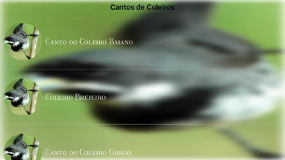 Cantos de Coleiros screenshot 3