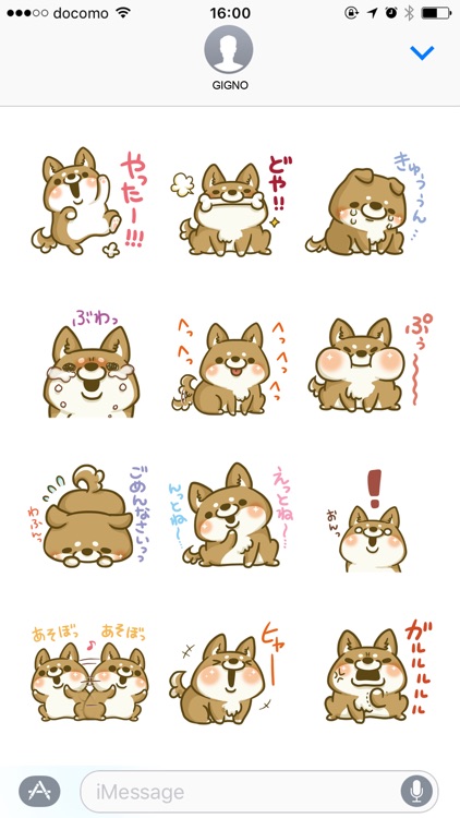 japanese shiba-inu with you screenshot-3