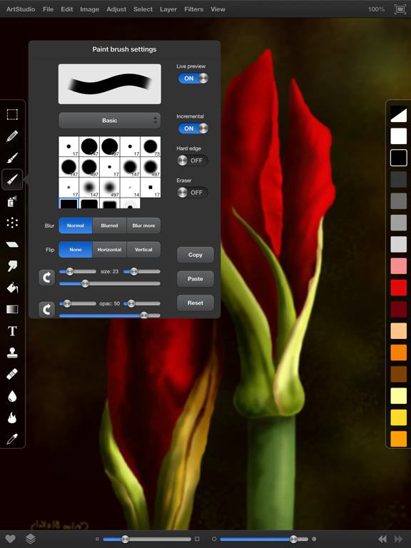 ArtStudio for iPad - draw, paint and edit photo screenshot