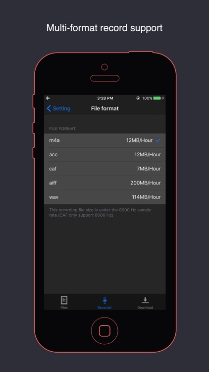 Voice HD recorder - pro