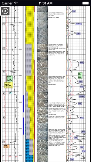 Selman Surface Logging