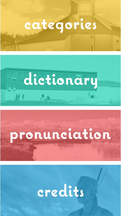 Long Plain Dictionary screenshot-4