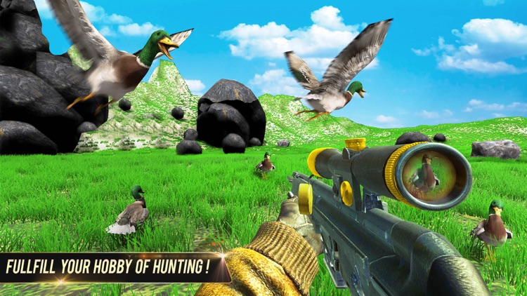 Duck Hunting Animal Shooting