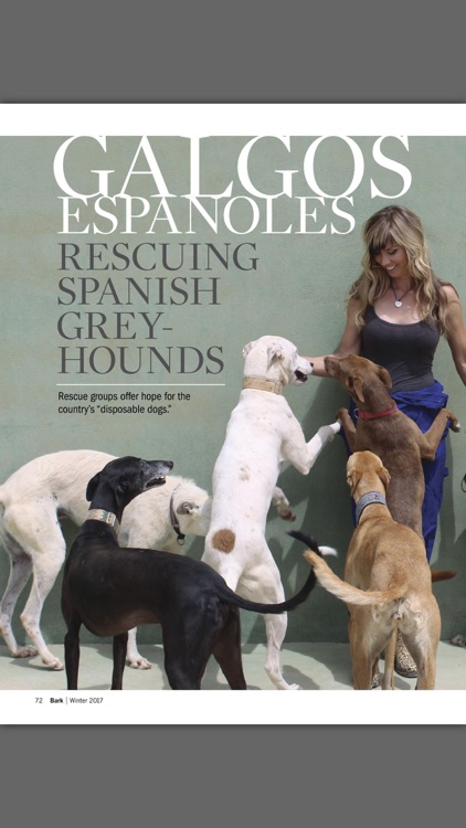 The Bark: dog culture magazine screenshot-3