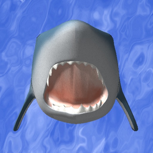 Shark  Countdown Icon