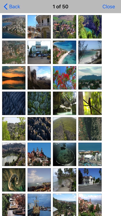 Madagascar Island - Guide screenshot-4