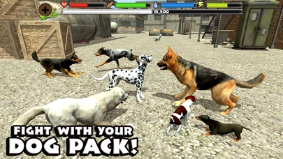 How to cancel & delete Stray Dog Simulator from iphone & ipad 2