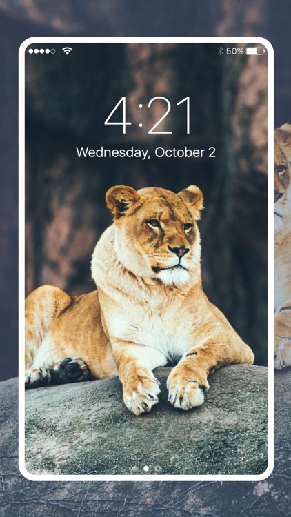 Fancy Wallpaper & Lock Screen screenshot-4