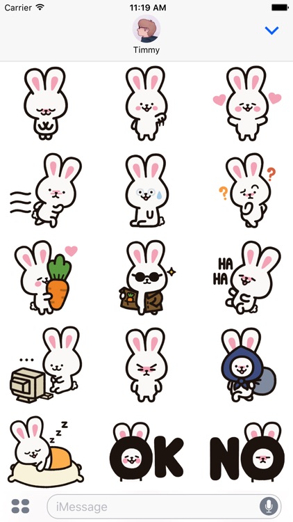 Sunny the Bunny