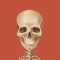 iOrtho+® is the #1 mobile guide for orthopedic clinical tests and manual techniques