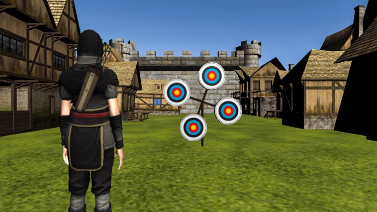 Archery Training Match