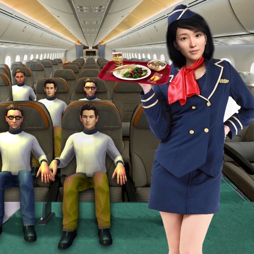 Virtual Air Hostess 3D