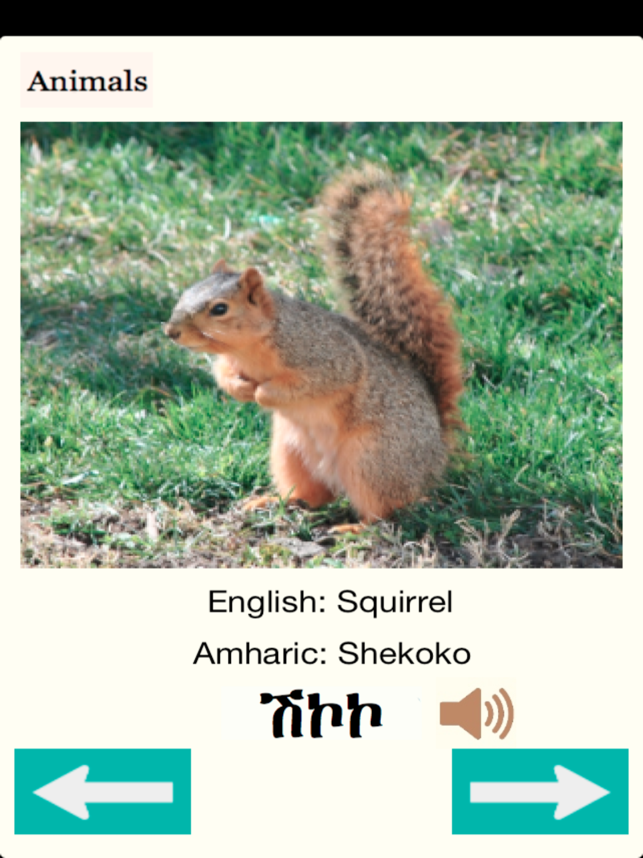 Animals in Amharic Audio(圖3)-速報App