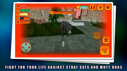 Chihuahua Puppy Pet Simulator screenshot 3