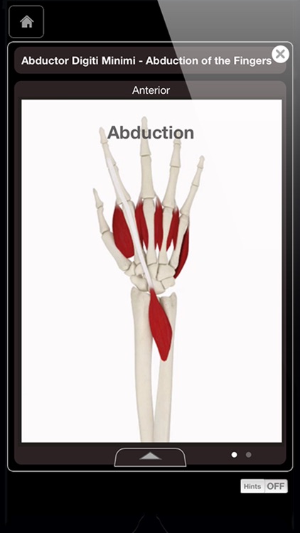 Hand & Wrist Pro III screenshot-4