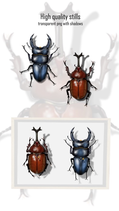 Japanese Cult Beetles screenshot 4