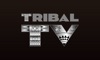 Tribal TV