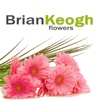 Brian Keogh Flowers