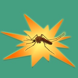 Mosquito Dash